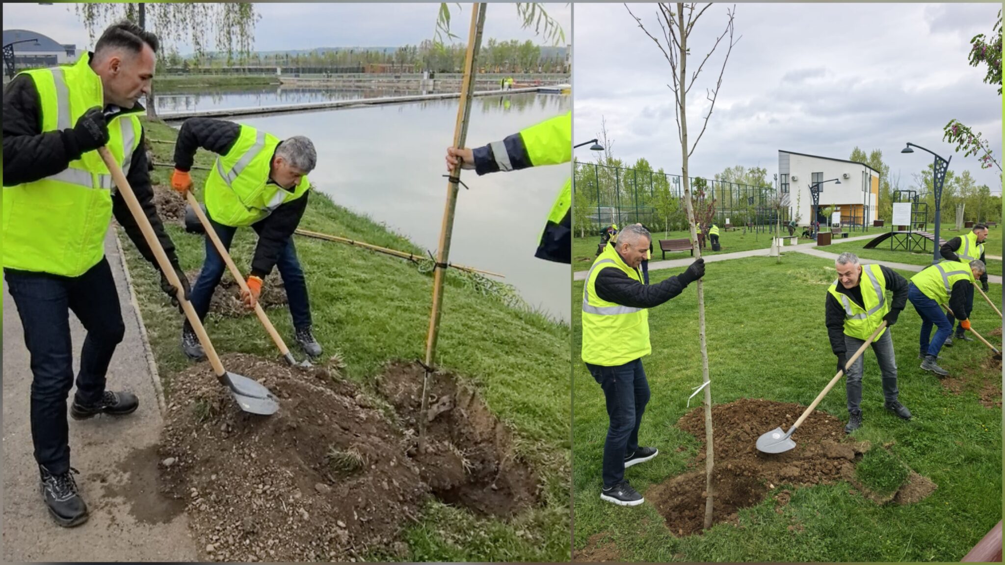 De la groapă de gunoi la parc modern: 300 de arbori plantați lângă Complexul Turistic de Natație Târgoviște